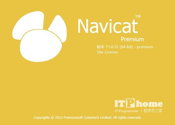 Navicat Premium 11.0.12 简体中文破解版